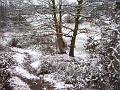 A pathway in the snow, Blackheath IMGP7557